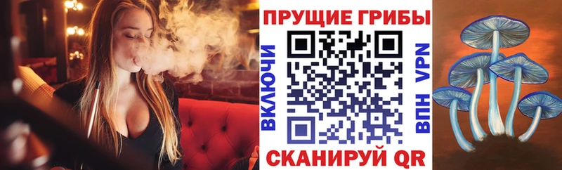 дарнет шоп  Горняк  Псилоцибиновые грибы ЛСД 